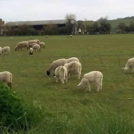 Prázdninový dům Au Pied Des Dunes, 200 M De La