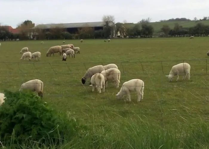 Dom wakacyjny Au Pied Des Dunes, 200 M De La