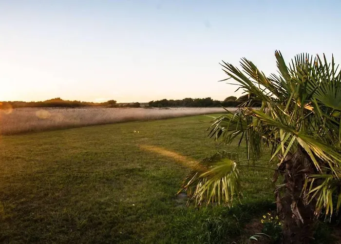 Au Pied Des Dunes, 200 M De La Dom wakacyjny *